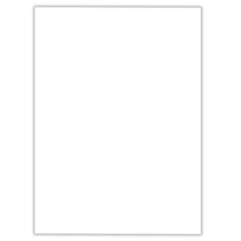 Poster Board 22x28 - White