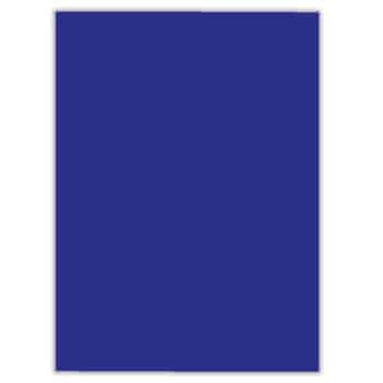 Poster Board 22x28 - Blue