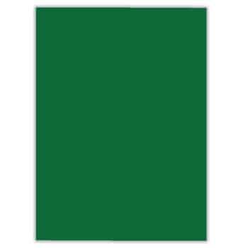 Poster Board 22x28 - Green