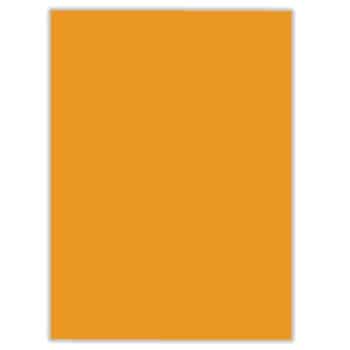 Poster Board 22x28 - Orange