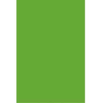 Foam Board  20" x 30" X5mm Green
